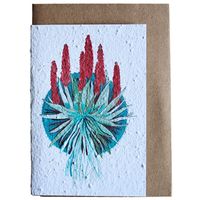 Growing Paper Greeting Card Aalwyn